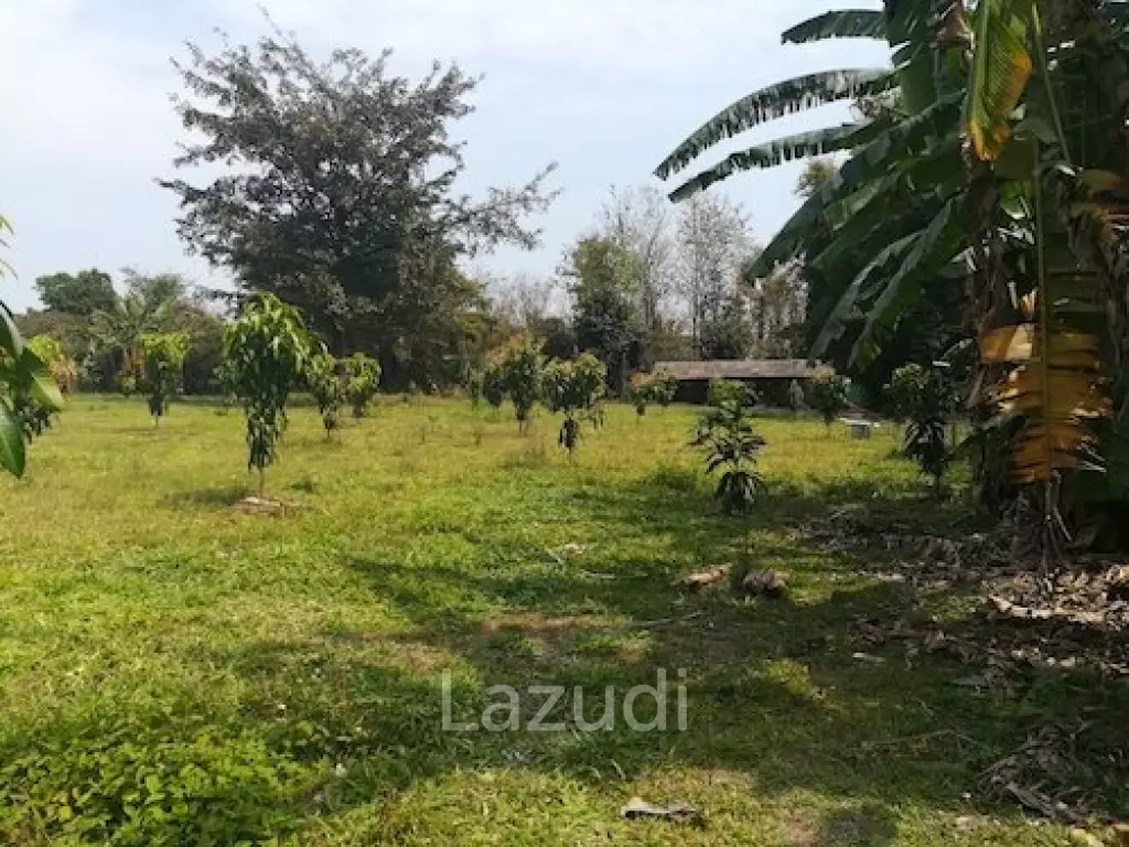 House on 8 rai of Land for Sale in Whiang Chai