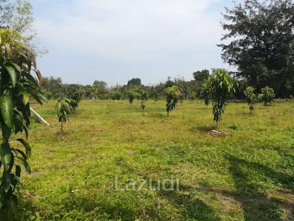 House on 8 rai of Land for Sale in Whiang Chai