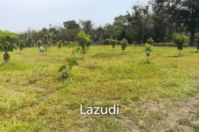 House on 8 rai of Land for Sale in Whiang Chai