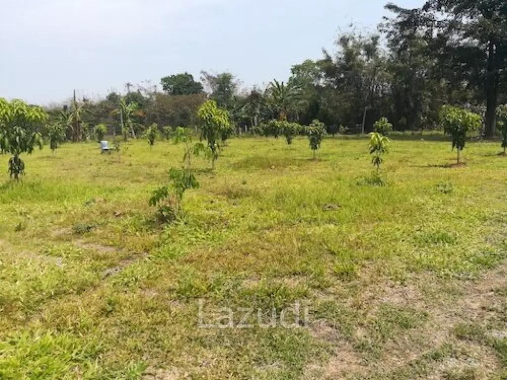 House on 8 rai of Land for Sale in Whiang Chai