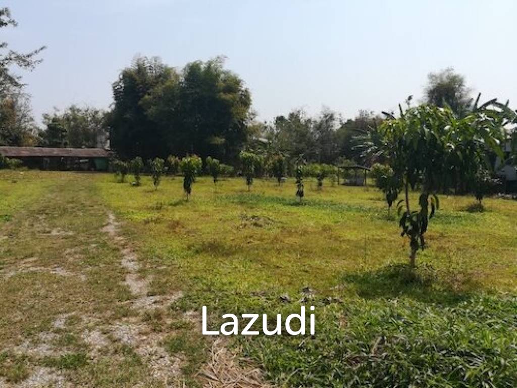 House on 8 rai of Land for Sale in Whiang Chai