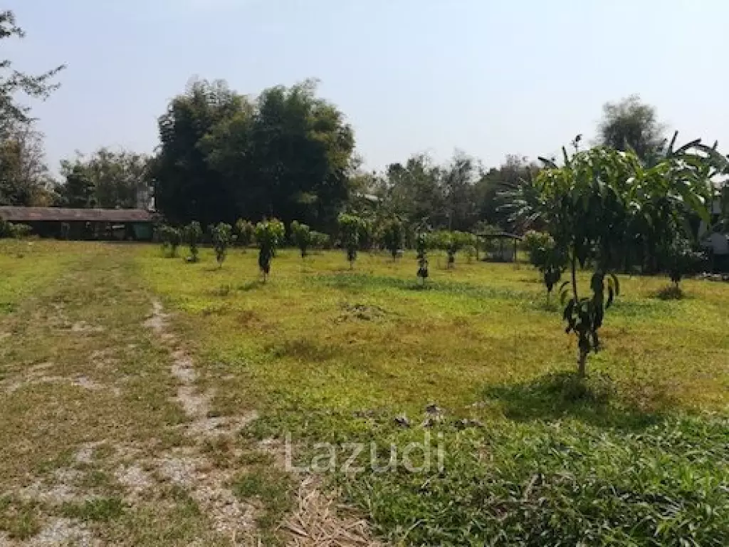 House on 8 rai of Land for Sale in Whiang Chai