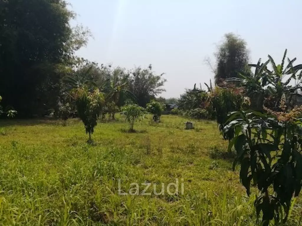 House on 8 rai of Land for Sale in Whiang Chai