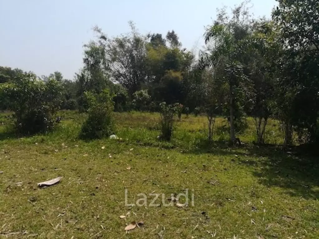 House on 8 rai of Land for Sale in Whiang Chai