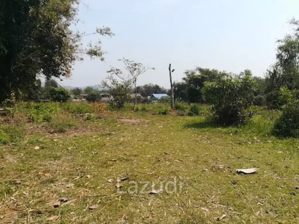 House on 8 rai of Land for Sale in Whiang Chai