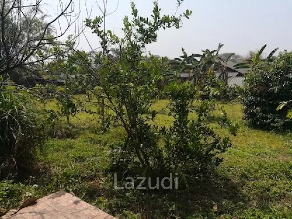 House on 8 rai of Land for Sale in Whiang Chai