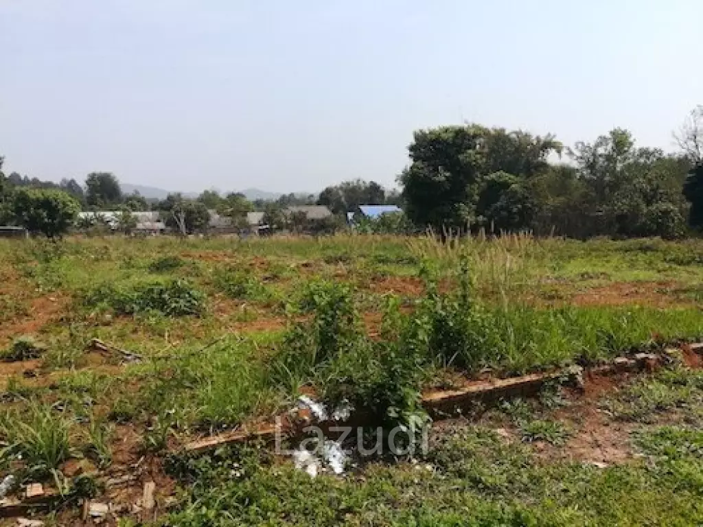 House on 8 rai of Land for Sale in Whiang Chai