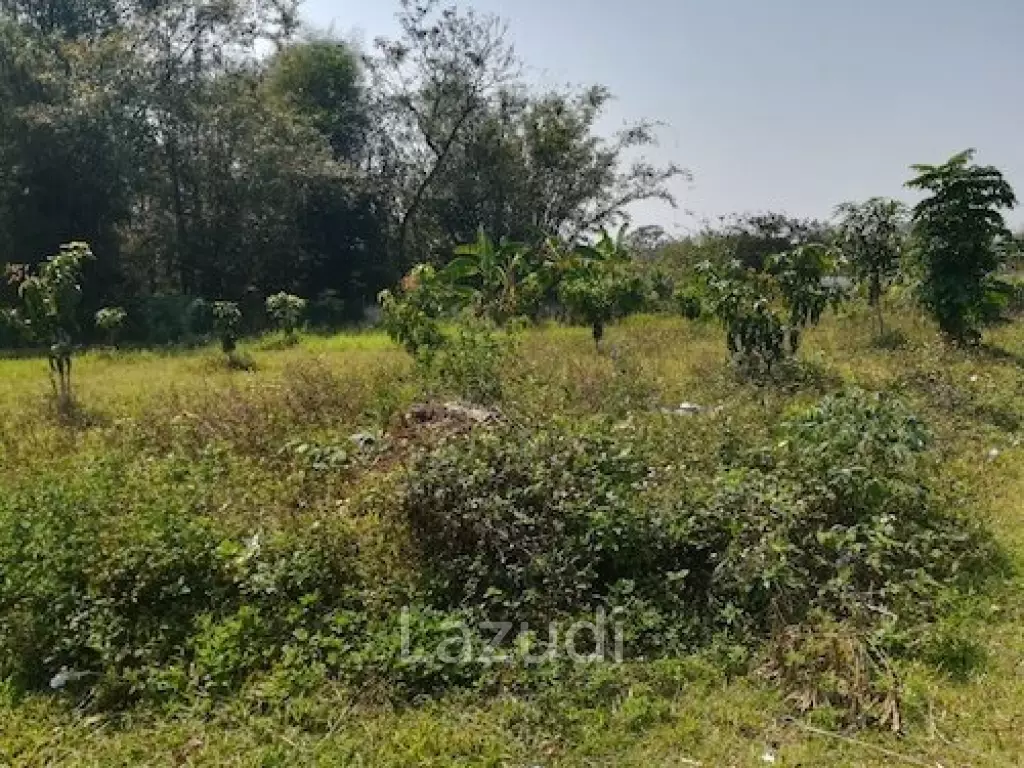House on 8 rai of Land for Sale in Whiang Chai