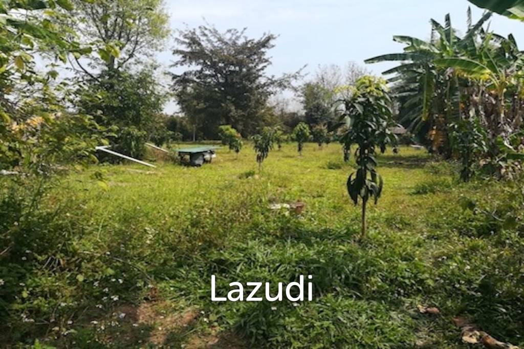 House on 8 rai of Land for Sale in Whiang Chai