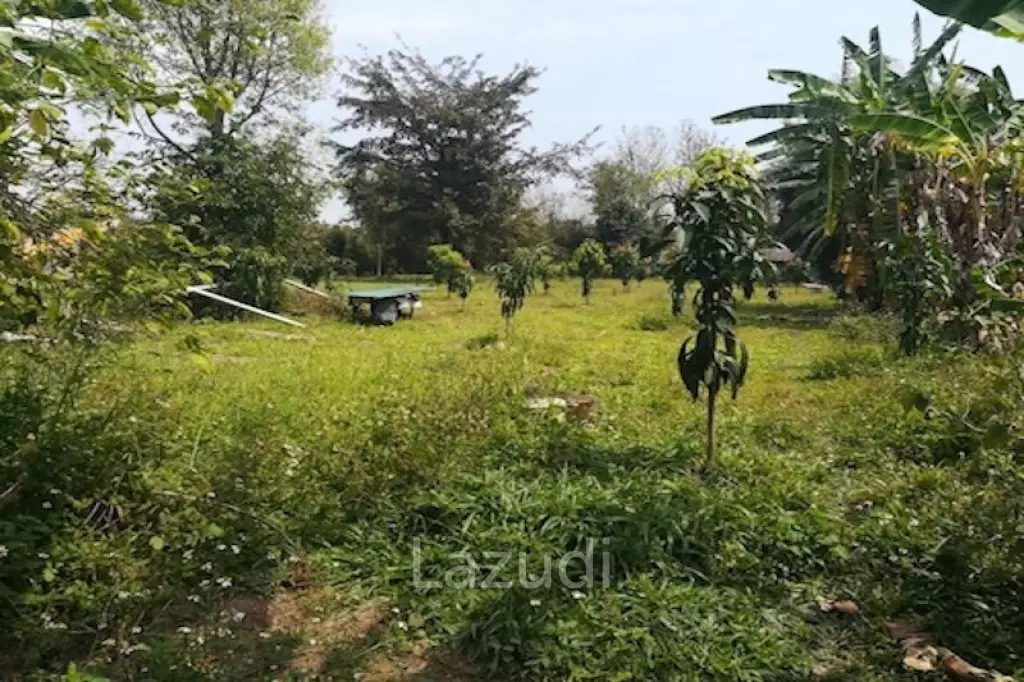House on 8 rai of Land for Sale in Whiang Chai