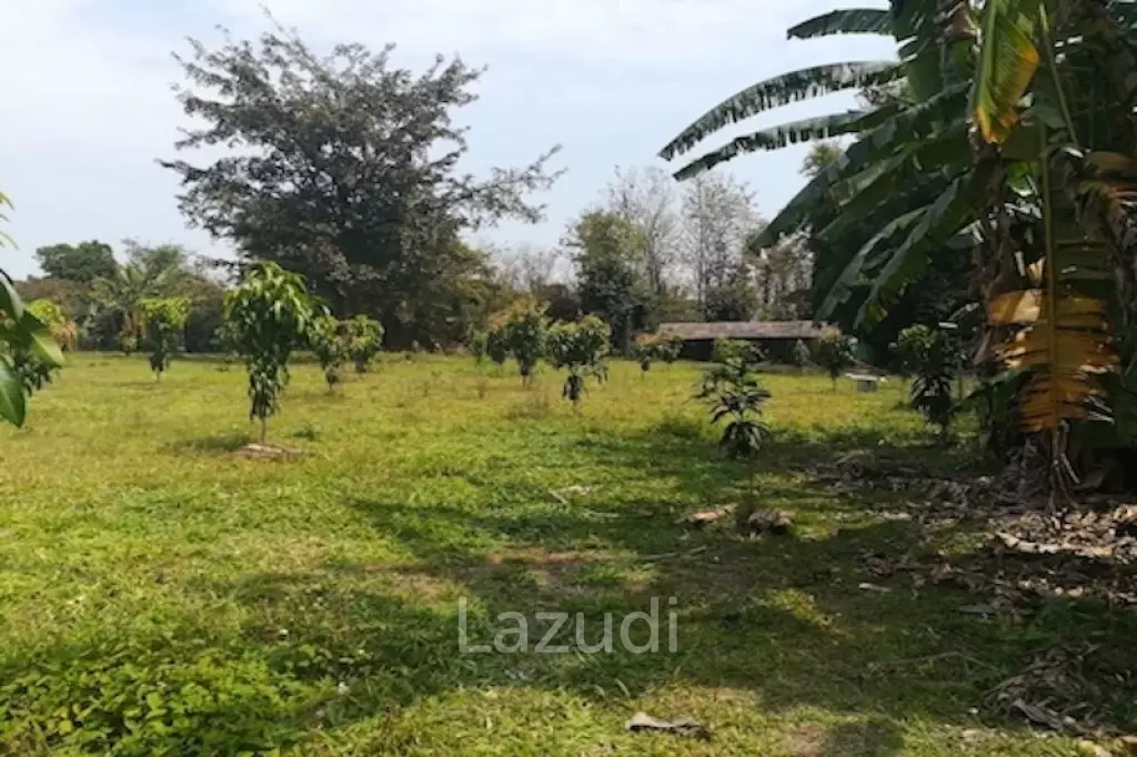 House on 8 rai of Land for Sale in Whiang Chai