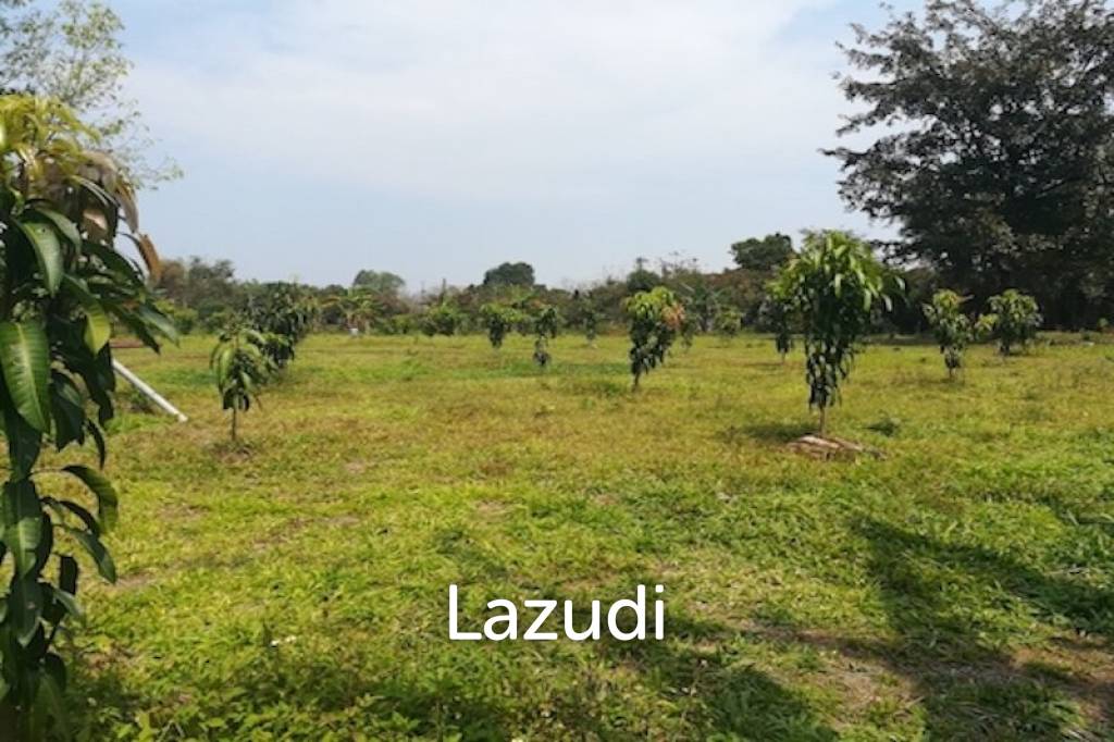 House on 8 rai of Land for Sale in Whiang Chai