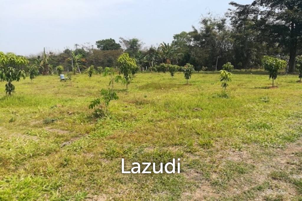 House on 8 rai of Land for Sale in Whiang Chai