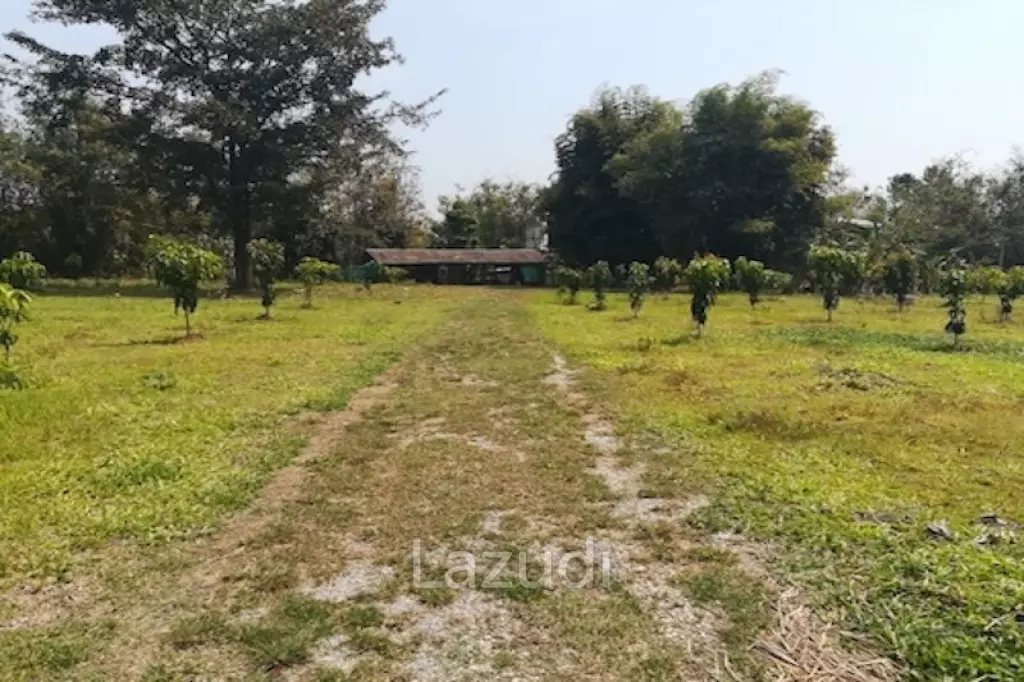 House on 8 rai of Land for Sale in Whiang Chai