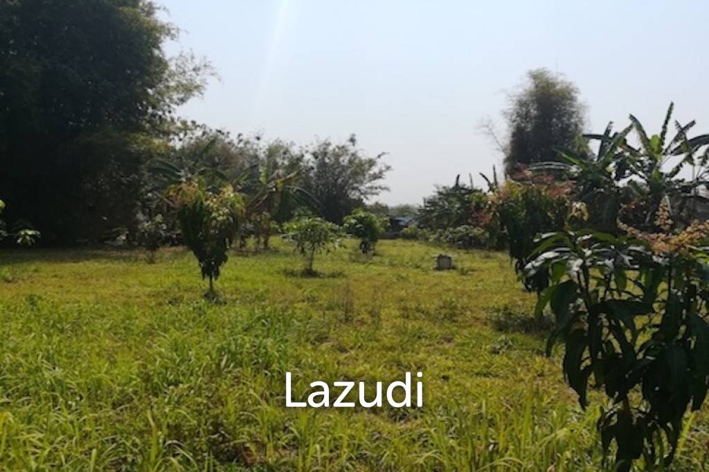 House on 8 rai of Land for Sale in Whiang Chai