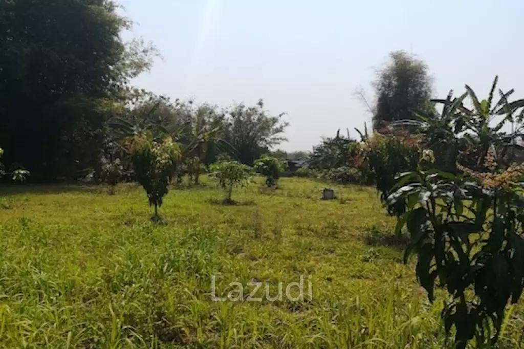House on 8 rai of Land for Sale in Whiang Chai