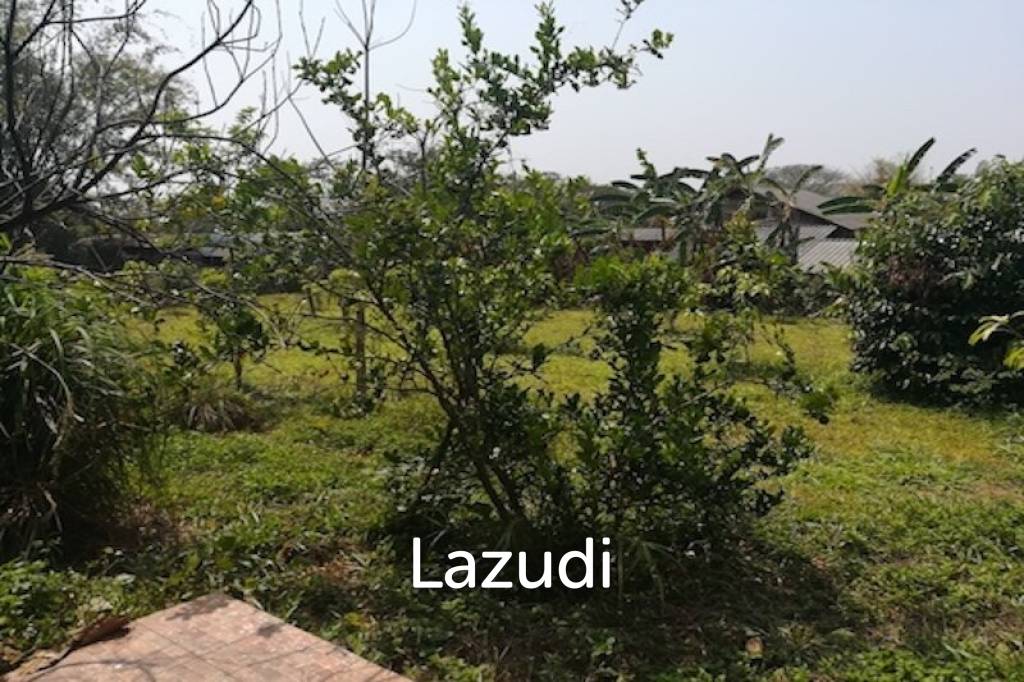 House on 8 rai of Land for Sale in Whiang Chai