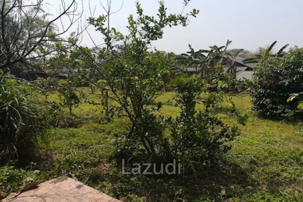 House on 8 rai of Land for Sale in Whiang Chai