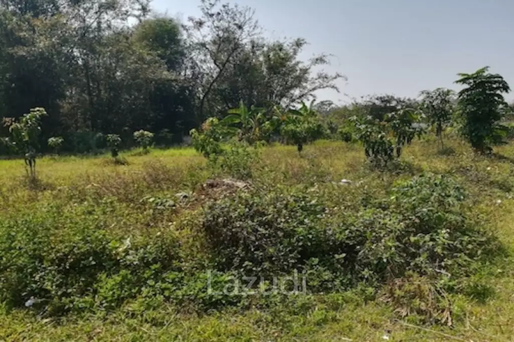 House on 8 rai of Land for Sale in Whiang Chai