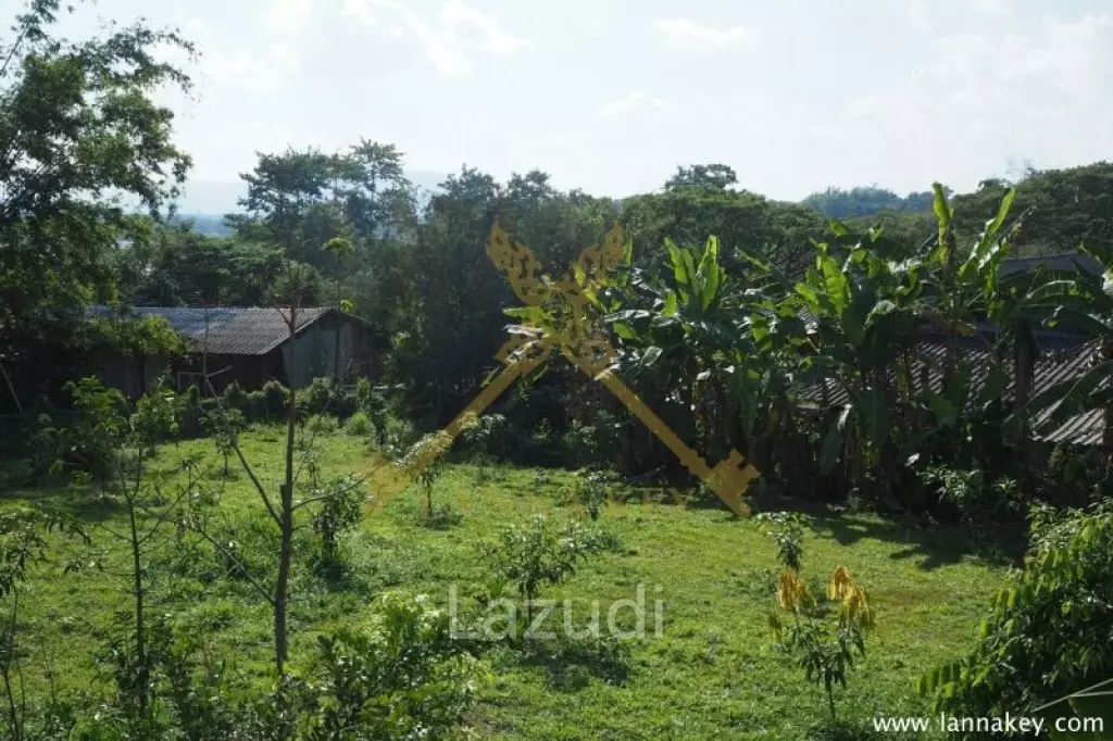 House on 8 rai of Land for Sale in Whiang Chai