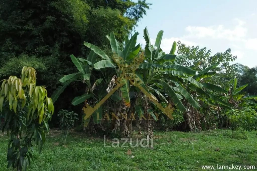 House on 8 rai of Land for Sale in Whiang Chai