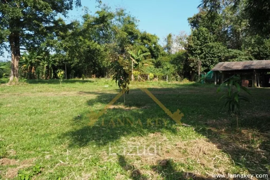 House on 8 rai of Land for Sale in Whiang Chai
