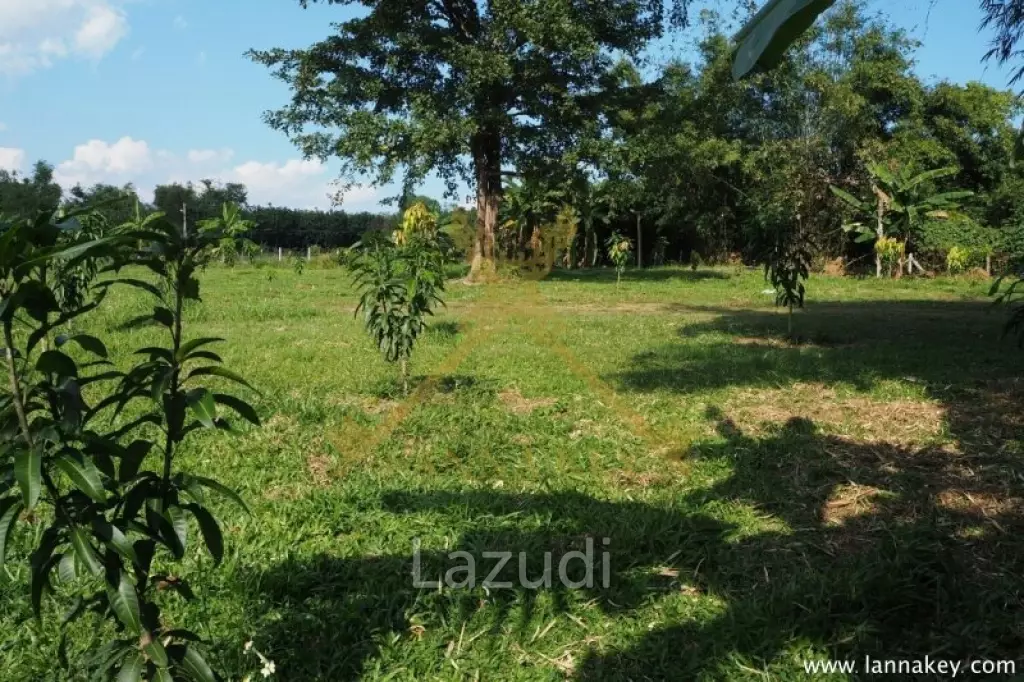 House on 8 rai of Land for Sale in Whiang Chai