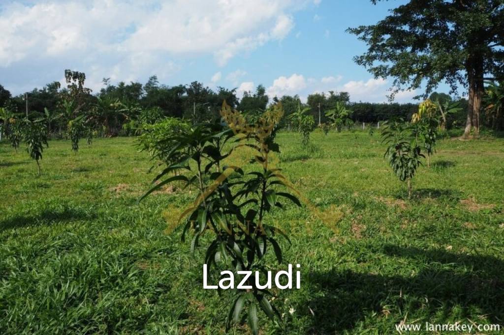 House on 8 rai of Land for Sale in Whiang Chai
