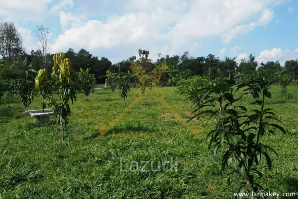 House on 8 rai of Land for Sale in Whiang Chai