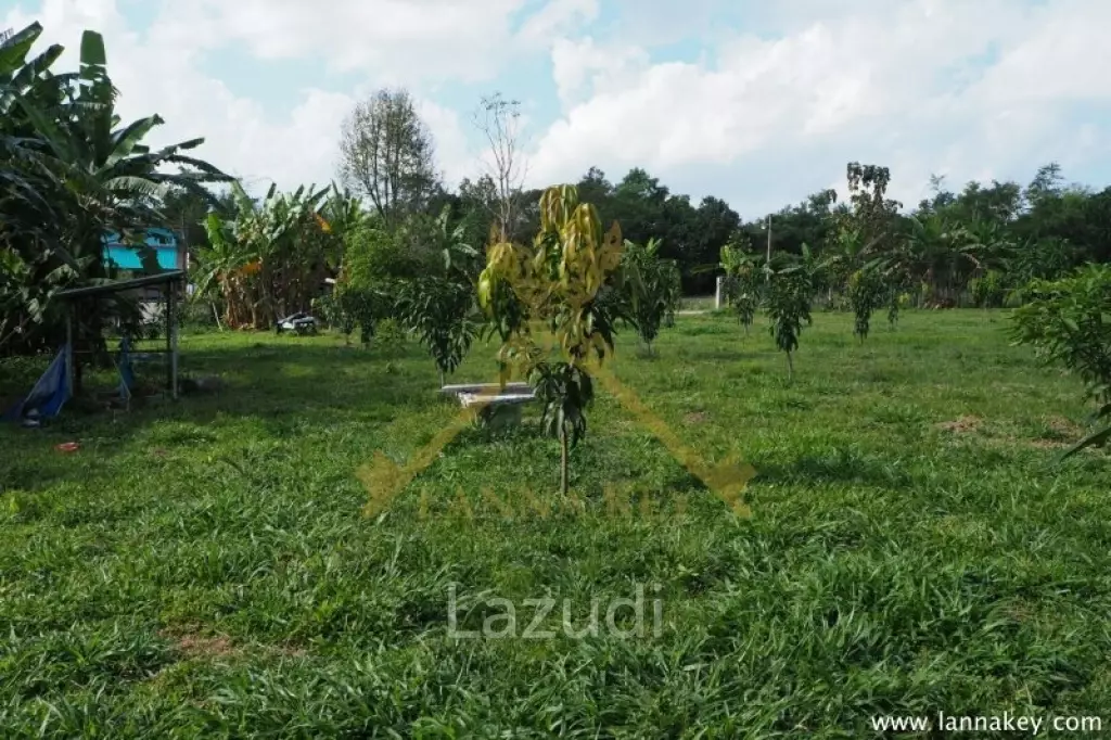 House on 8 rai of Land for Sale in Whiang Chai