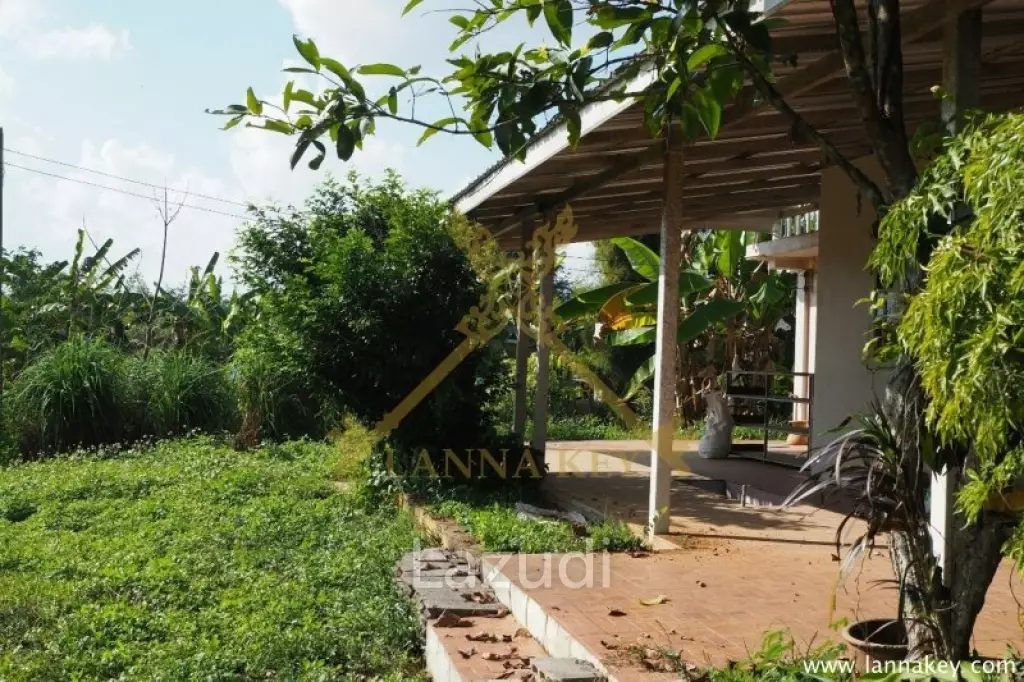 House on 8 rai of Land for Sale in Whiang Chai
