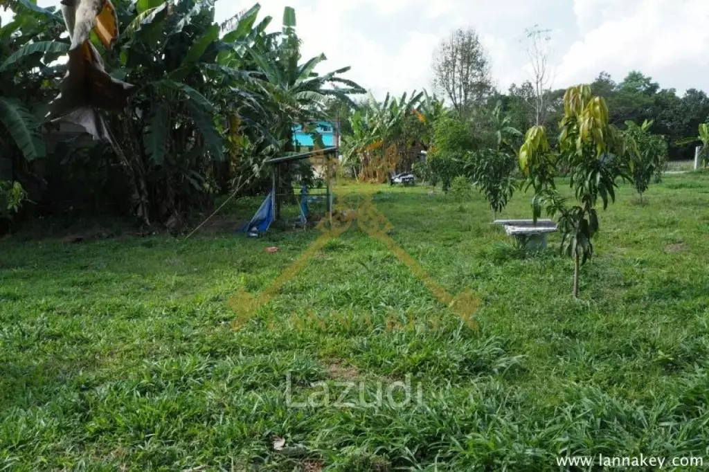 House on 8 rai of Land for Sale in Whiang Chai