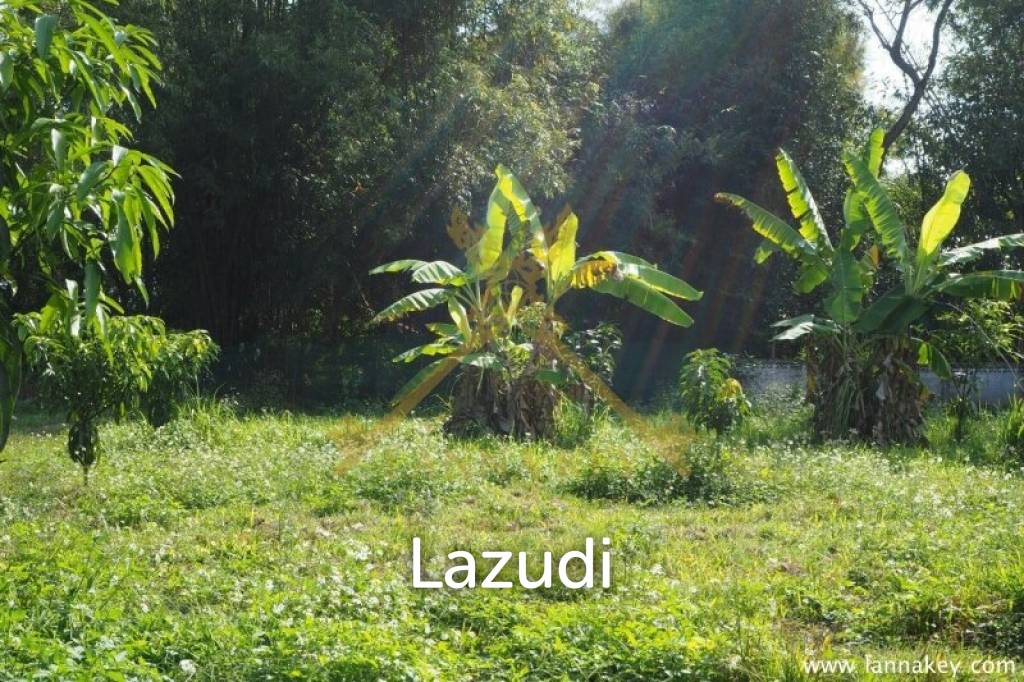 House on 8 rai of Land for Sale in Whiang Chai