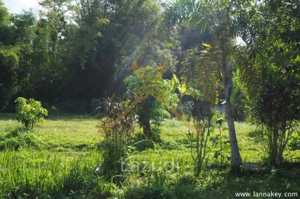 House on 8 rai of Land for Sale in Whiang Chai