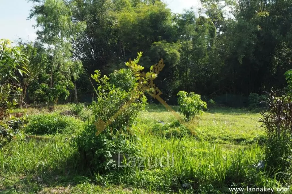 House on 8 rai of Land for Sale in Whiang Chai