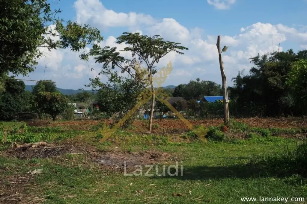 House on 8 rai of Land for Sale in Whiang Chai
