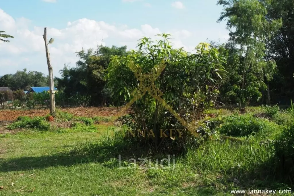 House on 8 rai of Land for Sale in Whiang Chai