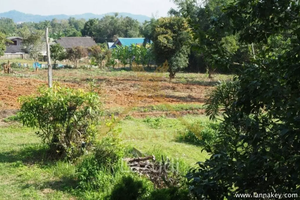 House on 8 rai of Land for Sale in Whiang Chai