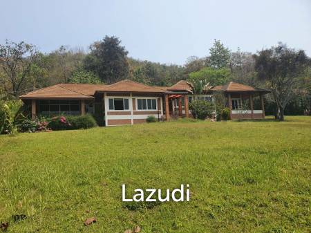 Large 4 Bedroom House for Rent