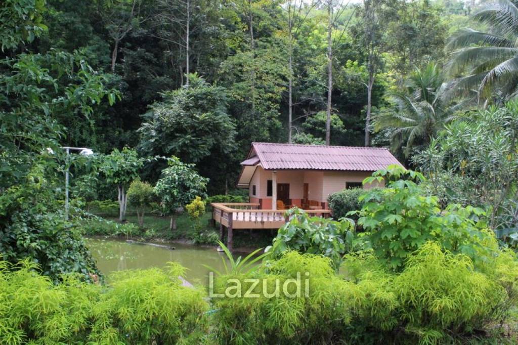 Beautiful Garden House 2 km. from Mae Fah Luang University
