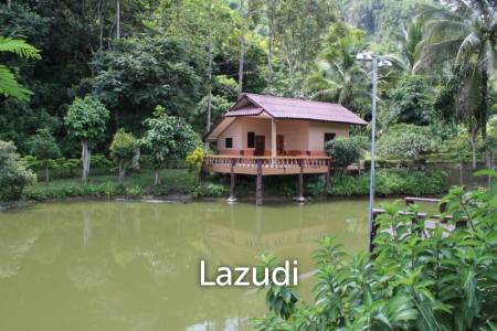 Beautiful Garden House 2 km. from Mae Fah Luang University