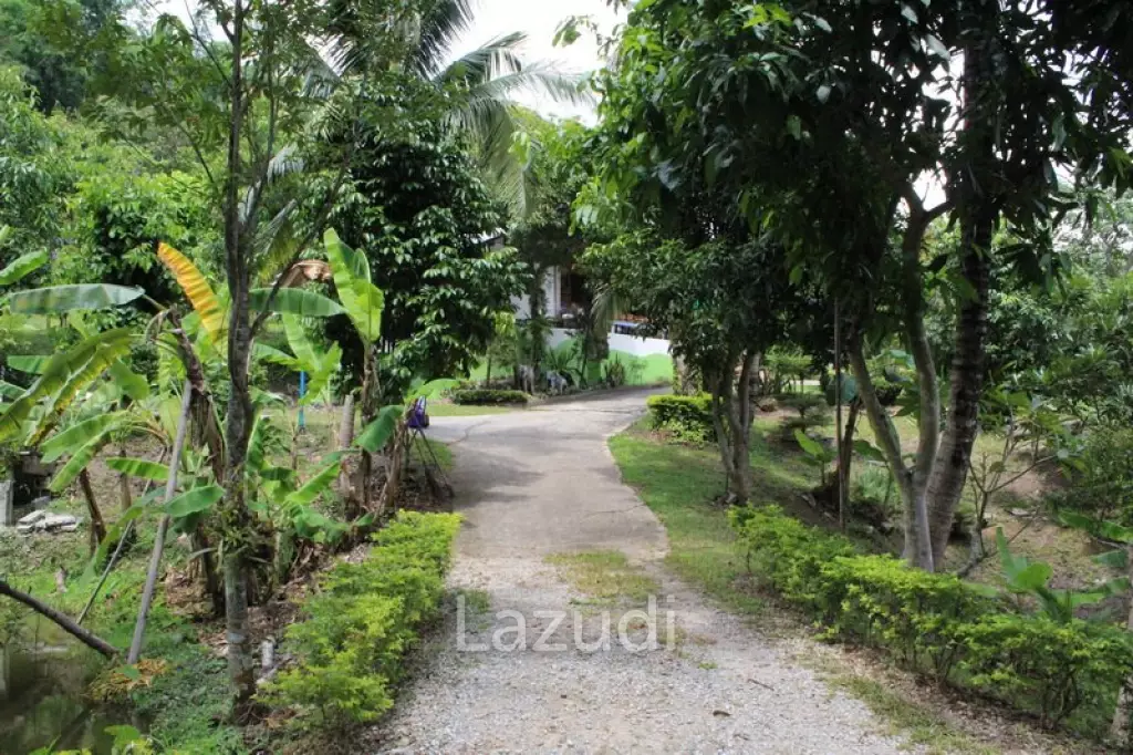 Beautiful Garden House 2 km. from Mae Fah Luang University