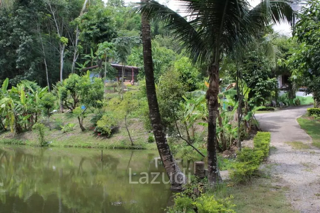 Beautiful Garden House 2 km. from Mae Fah Luang University