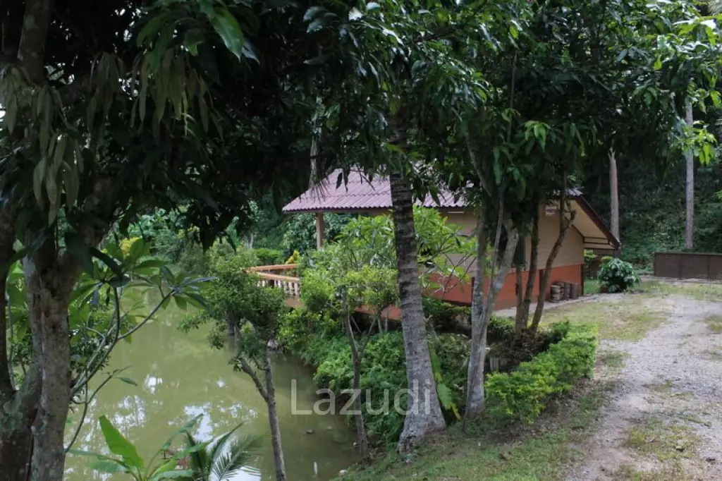 Beautiful Garden House 2 km. from Mae Fah Luang University