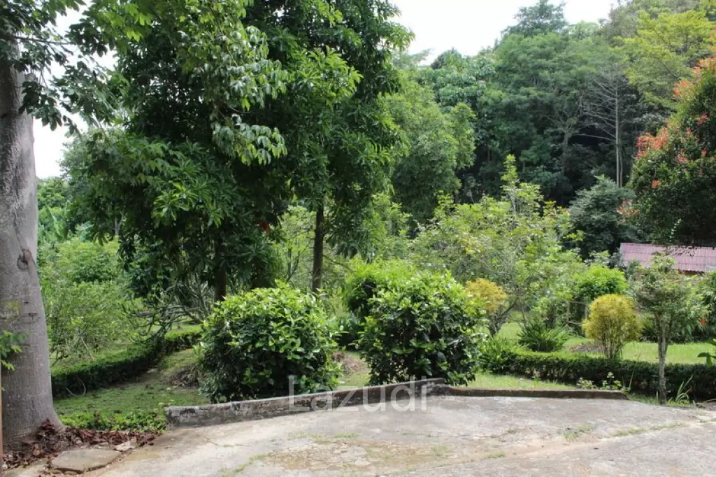 Beautiful Garden House 2 km. from Mae Fah Luang University