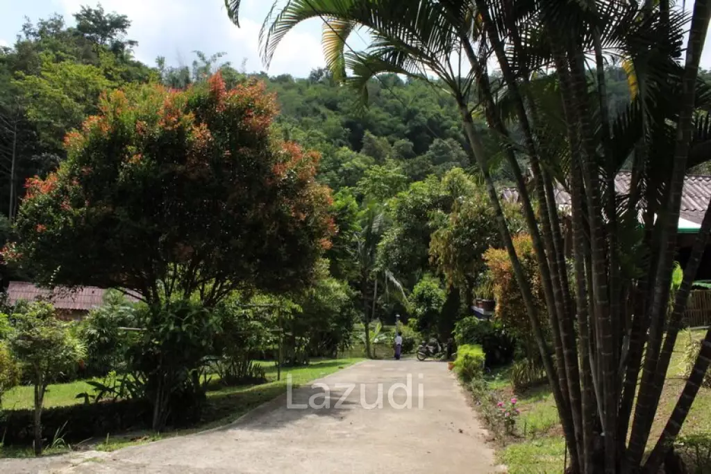 Beautiful Garden House 2 km. from Mae Fah Luang University