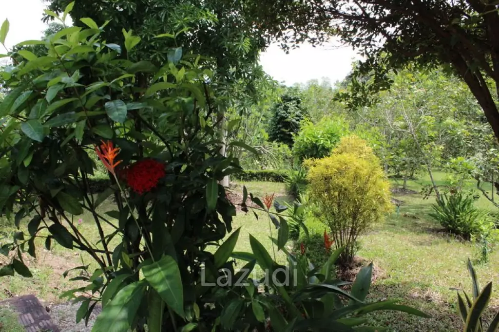 Beautiful Garden House 2 km. from Mae Fah Luang University