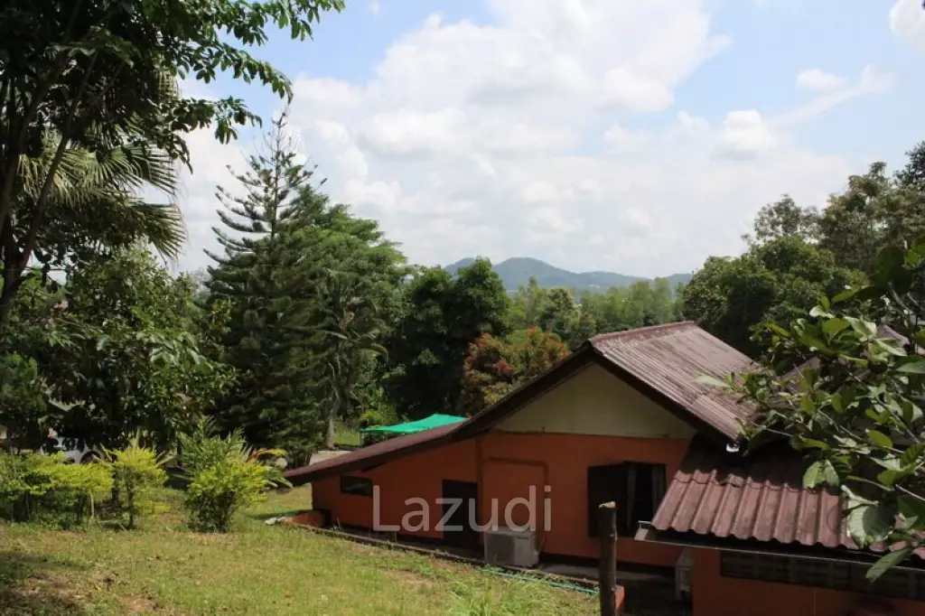 Beautiful Garden House 2 km. from Mae Fah Luang University