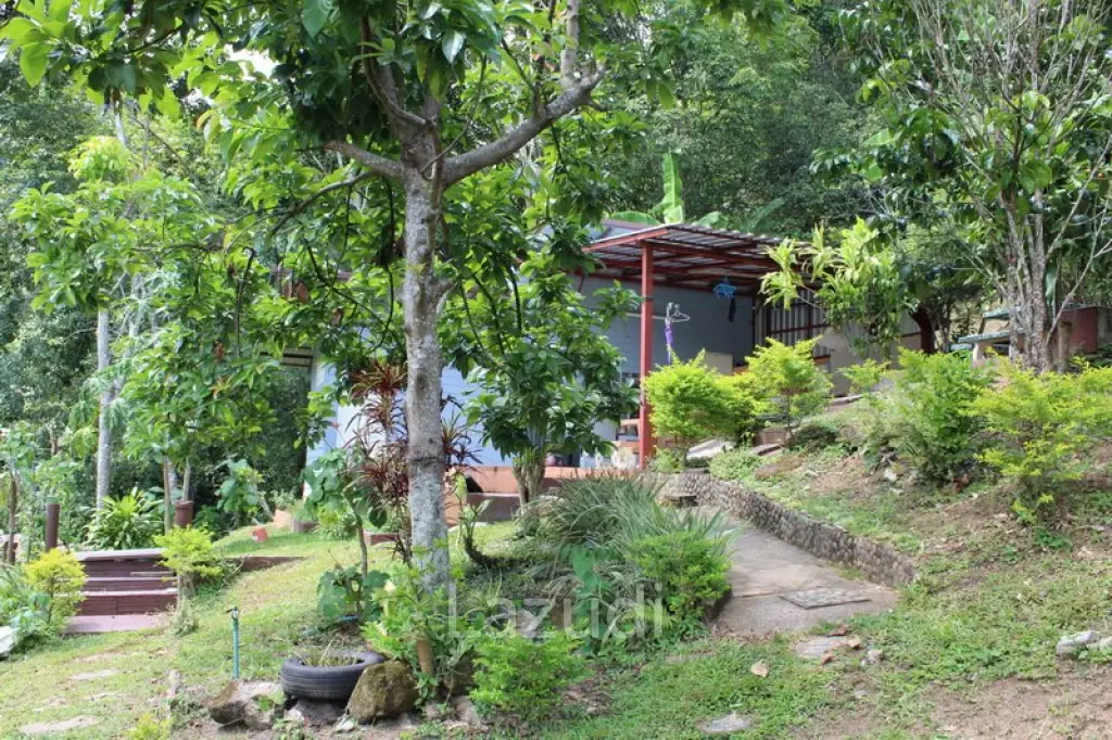 Beautiful Garden House 2 km. from Mae Fah Luang University