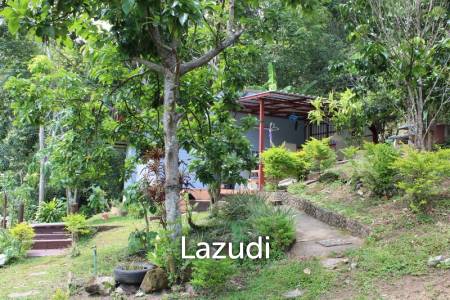 Beautiful Garden House 2 km. from Mae Fah Luang University